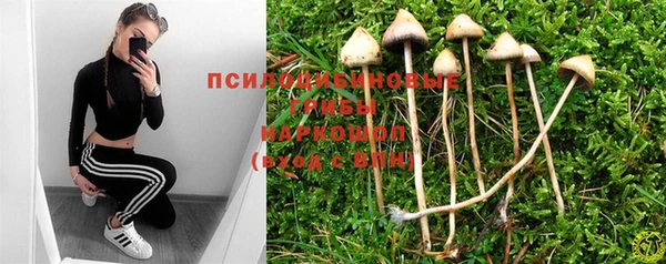 мескалин Алексин